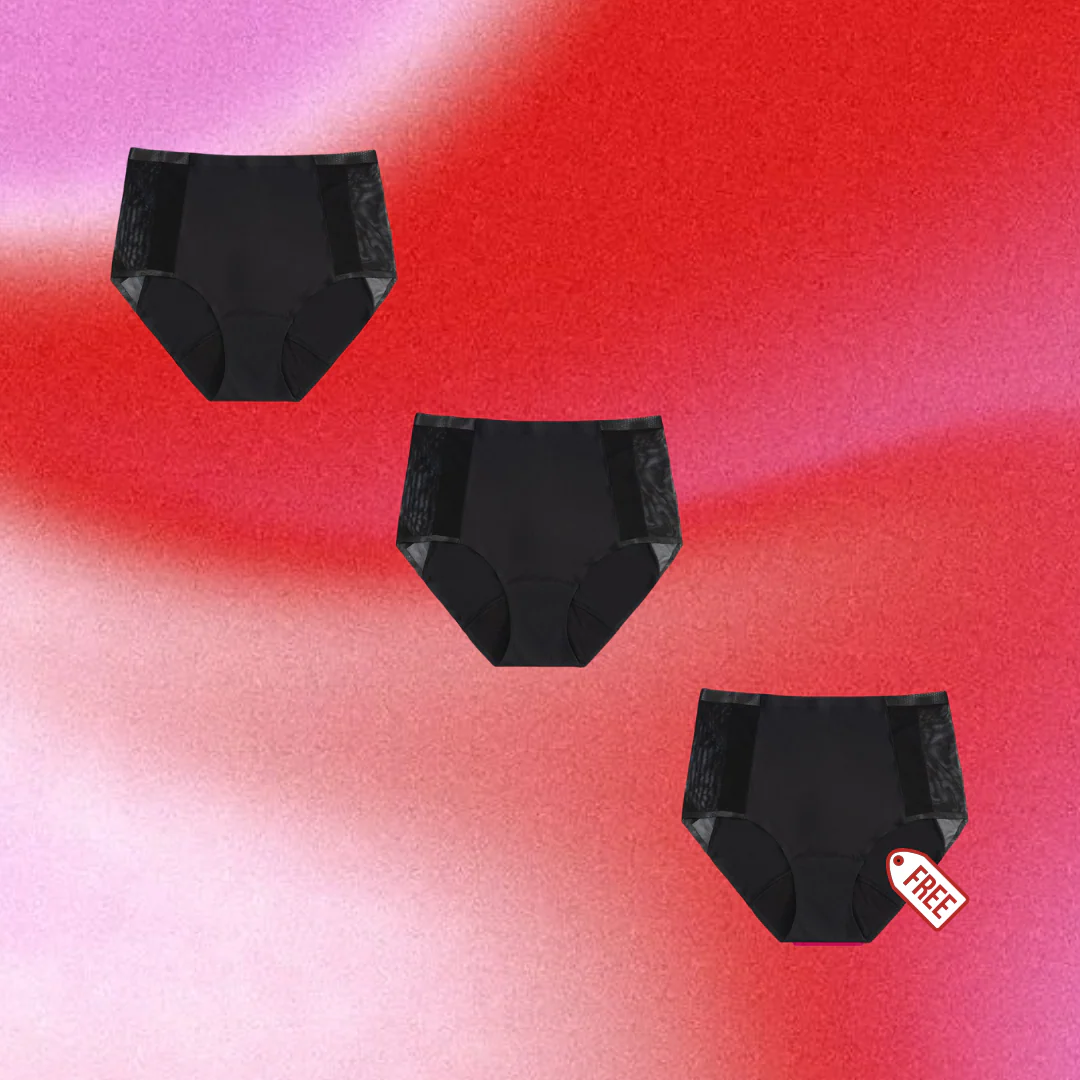 Mesh High Rise Undies - Image 4